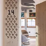 Julian Alps Zgornje Gorje